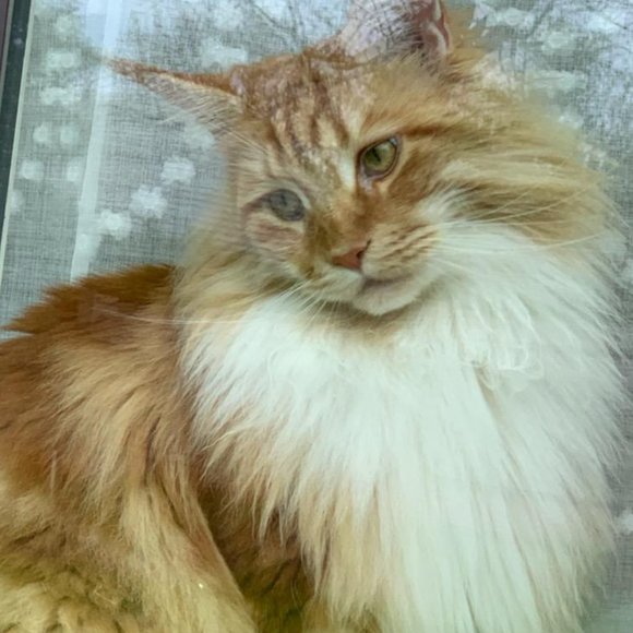 Namaste - Picture 13 of 16